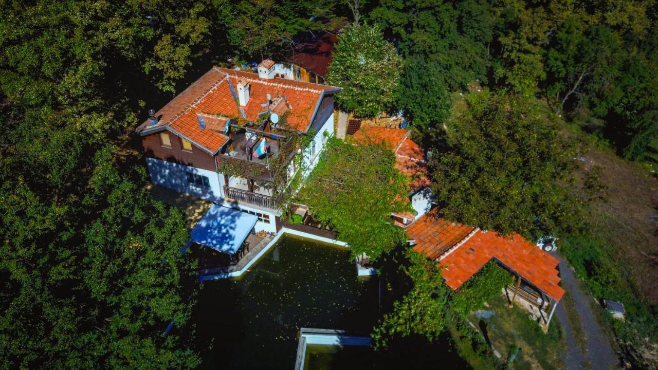 Рибарник Forest Мagic Topolitsa Exterior foto